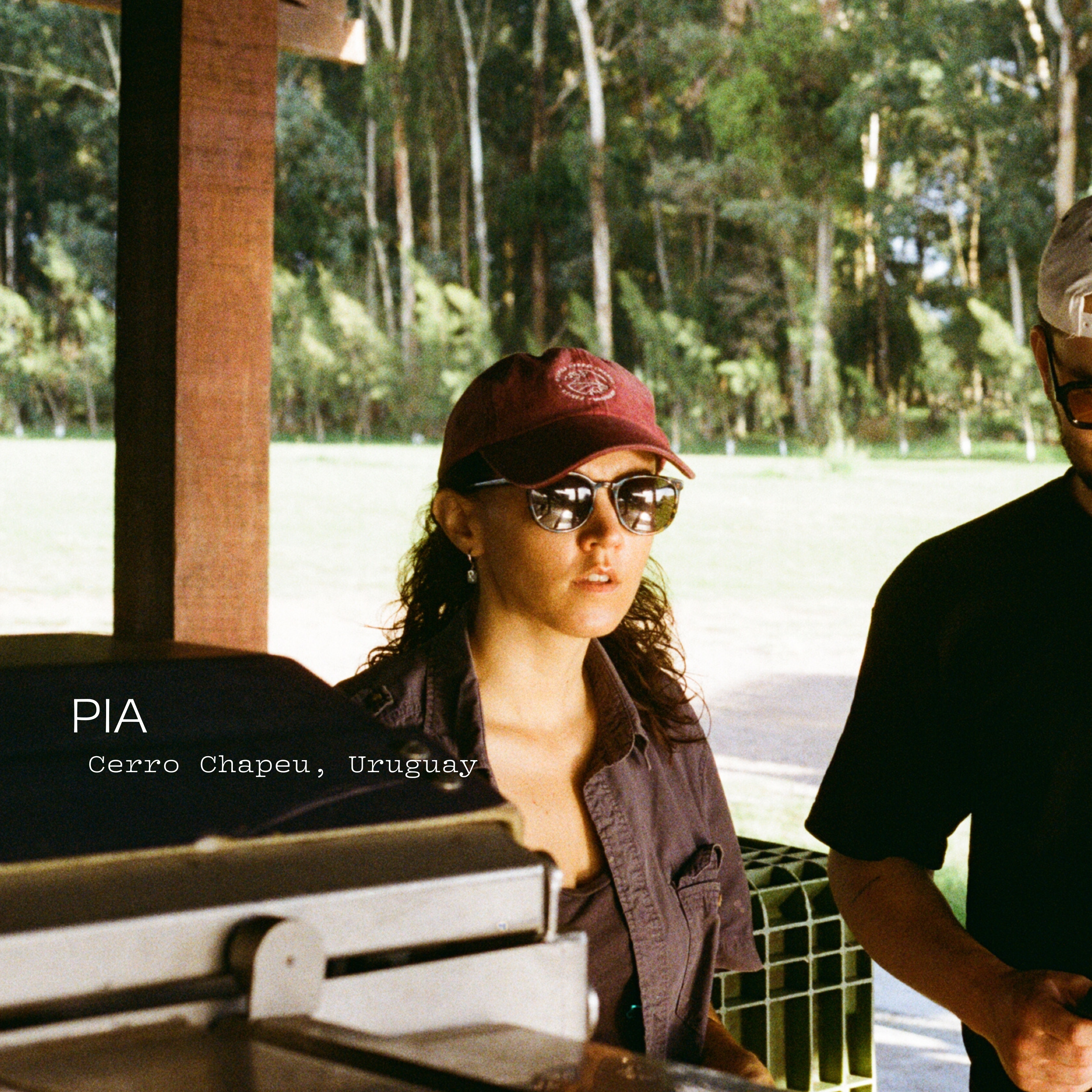 THE DISCOVERY QUARTET